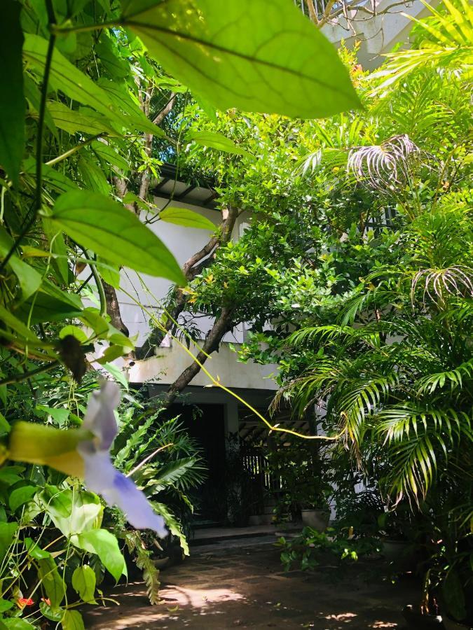 Tinara River Inn, Weligama Exterior foto