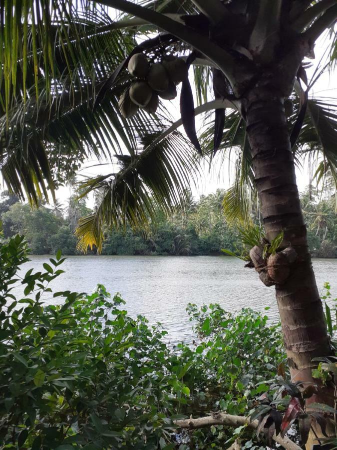 Tinara River Inn, Weligama Exterior foto